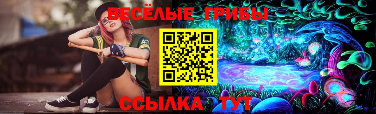 Псилоцибиновые грибы Psilocybe Фурманов
